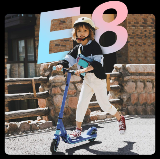 Segway Ninebot eKickScooter ZING E8